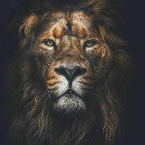 Meet your Posher, Deeme